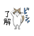 猫とひよことひよこの守護霊（個別スタンプ：39）