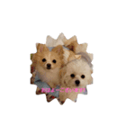 LUNA＆SEAちゃん ミックス犬2（個別スタンプ：2）