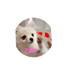 LUNA＆SEAちゃん ミックス犬2（個別スタンプ：3）