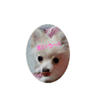 LUNA＆SEAちゃん ミックス犬2（個別スタンプ：5）