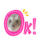 もちまる◎2（個別スタンプ：2）