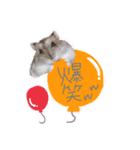 もちまる◎2（個別スタンプ：8）