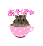 もちまる◎2（個別スタンプ：9）