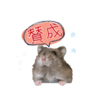 もちまる◎2（個別スタンプ：11）