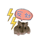 もちまる◎2（個別スタンプ：12）