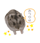 もちまる◎2（個別スタンプ：14）