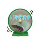 もちまる◎2（個別スタンプ：16）
