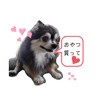 ちびたの気持ち（個別スタンプ：2）