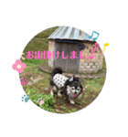 ちびたの気持ち（個別スタンプ：10）
