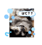 ちびたの気持ち（個別スタンプ：16）