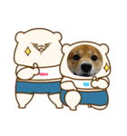 豆柴の生活4（個別スタンプ：3）