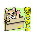 敬語で話すうちの子スタンプ（個別スタンプ：38）