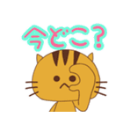 毎日使える！！ とら猫のスタンプ（個別スタンプ：5）