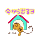 毎日使える！！ とら猫のスタンプ（個別スタンプ：6）