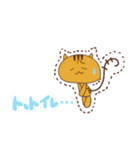 毎日使える！！ とら猫のスタンプ（個別スタンプ：20）