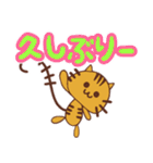 毎日使える！！ とら猫のスタンプ（個別スタンプ：22）