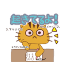 毎日使える！！ とら猫のスタンプ（個別スタンプ：26）