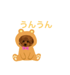 トイプードルのミロ（個別スタンプ：12）