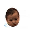 きょー太郎（個別スタンプ：3）