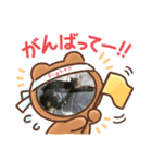 猫のゆったりスタンプ（個別スタンプ：2）