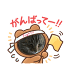 猫のゆったりスタンプ（個別スタンプ：4）