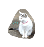 k.nオリジナル.（個別スタンプ：3）