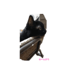 k.nオリジナル.（個別スタンプ：4）