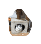 k.nオリジナル.（個別スタンプ：8）