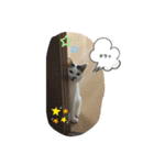k.nオリジナル.（個別スタンプ：9）
