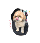 k.nオリジナル.（個別スタンプ：11）