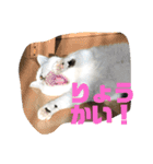 k.nオリジナル.（個別スタンプ：15）