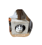 k.nオリジナル（個別スタンプ：8）