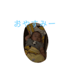 ゆうすた✩.*˚（個別スタンプ：5）