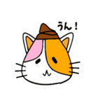 うん！こねこ（個別スタンプ：7）