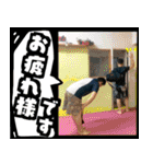 Hiro’z boxing gym（個別スタンプ：33）