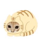 やんちゃ猫 茶々（個別スタンプ：14）