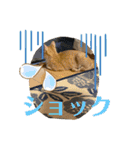 やんちゃ猫 茶々（個別スタンプ：19）