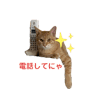 やんちゃ猫 茶々（個別スタンプ：20）