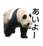 動物園の愉快な仲間たち2（個別スタンプ：4）