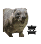 動物園の愉快な仲間たち2（個別スタンプ：15）