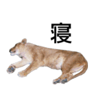 動物園の愉快な仲間たち2（個別スタンプ：19）