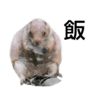 動物園の愉快な仲間たち2（個別スタンプ：20）