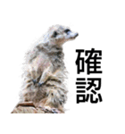 動物園の愉快な仲間たち2（個別スタンプ：22）
