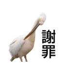 動物園の愉快な仲間たち2（個別スタンプ：25）