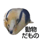 動物園の愉快な仲間たち2（個別スタンプ：40）