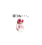 Chou Chou 2019（個別スタンプ：14）