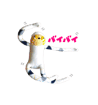 Chou Chou 2019（個別スタンプ：37）