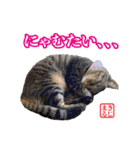 KIJIMARUスタンプ Part3（個別スタンプ：5）