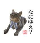 KIJIMARUスタンプ Part3（個別スタンプ：9）