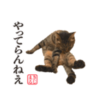 KIJIMARUスタンプ Part3（個別スタンプ：21）